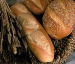 I will satisfy her poor with bread.