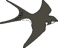 Yea, the sparrow hath found an house, and the swallow a nest for herself,