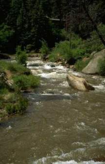 He sendeth the springs into the valleys, which run among the hills.